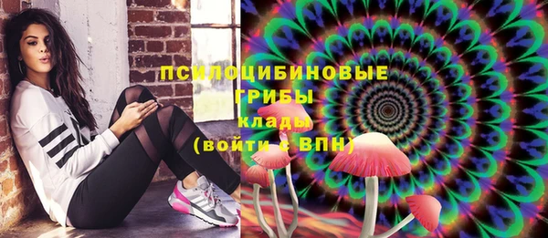 прущая мука Арсеньев