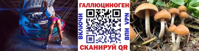 как найти наркотики  Усть-Катав  Галлюциногенные грибы GOLDEN TEACHER 